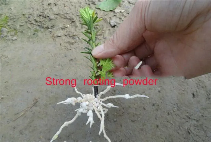 HTB17cjjt4SYBuNjSspjq6x73VXaR