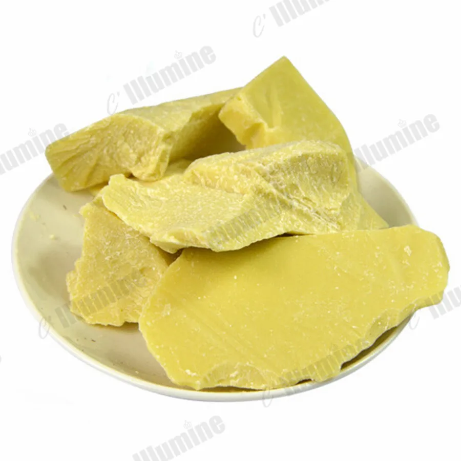 Manteiga de cacau orgânica natural fresco não