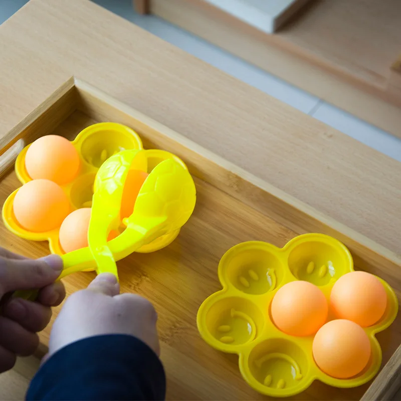 

Early Childhood Family Coordination Montessori Set Montessori Daily Life Hand Clothes in Social Life Clip Ball Montessori