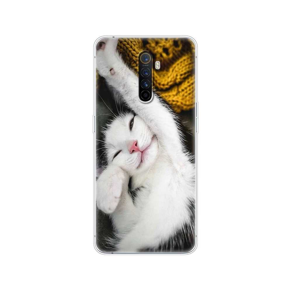 Cat Dog Cartoon Cute|Бамперы| |