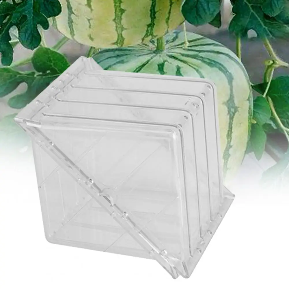 Watermelon Shaping Mold Square Eco-friendly No Deformation Creative Plastic Heart Shape Transparent Shaping Mold for Fruit 6