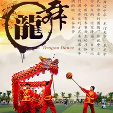 Китайский костюм для танцев с драконом год народный фестиваль костюм год танец дракона