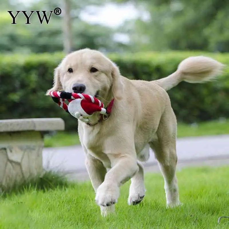 

Creative 1 Plush Material Pet Toy Cats Dog Game 4 Style Of Molars Interactive Bite-Resistant Pet Cat Dog Plush Toys