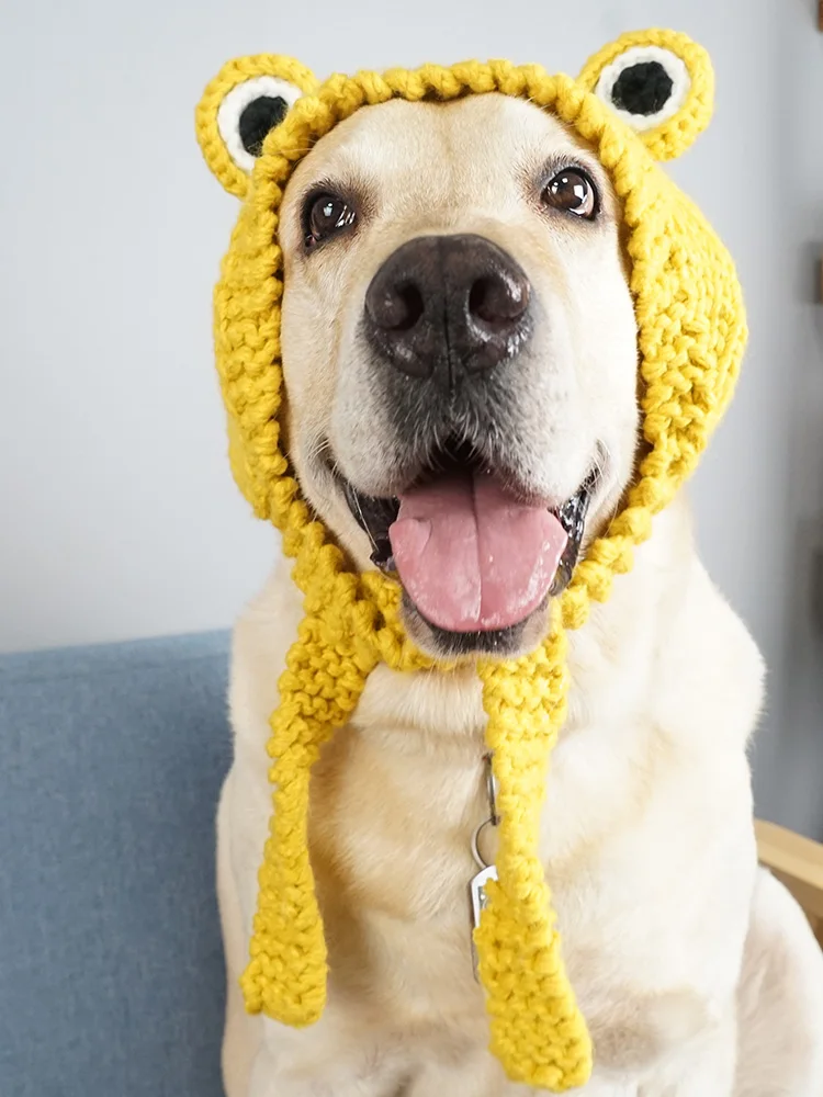 Funny Dog Cat Frog Hat Cute Pet Dog 