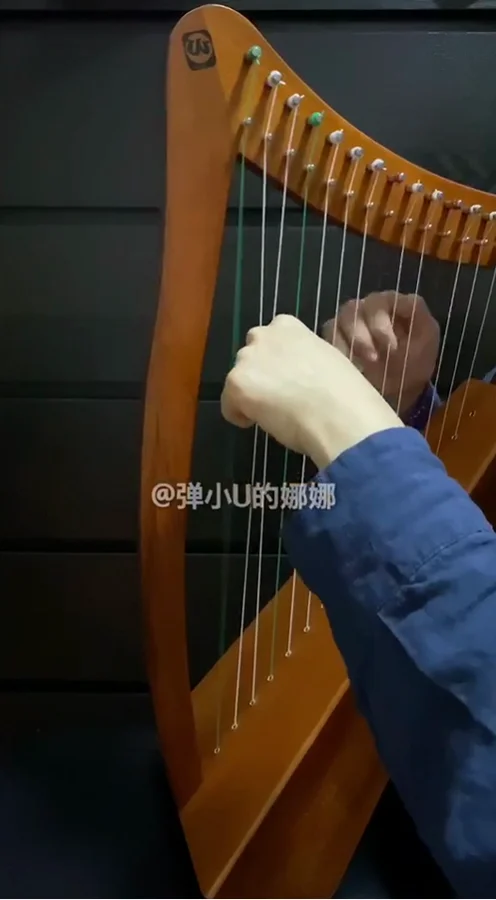 15 стрингов lyre Harp|Губная гармоника| |