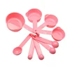 10pc pink set