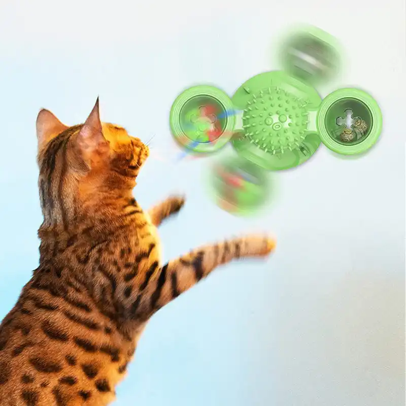 Balle Intelligente D Entrainement Pour Chat Cataire Herbe Aux Chats Jouet Intelligent Interactif Fournitures Pour Chatons Aliexpress
