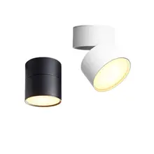 

Dimmable Surface Mounted LED COB Downlight 7W/9W/12W/15W Rotating LED Spot Light Ceiling Lamp with LED Driver AC110V/220V