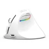 Delux M618 Mini Ergonomic Mouse Wireless Vertical Mouse White Bluetooth 2.4GHz RGB Rechargeable Silent click Mice for Office ► Photo 1/6