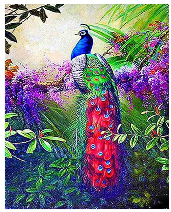 530 Gambar Burung Merak Kolase HD