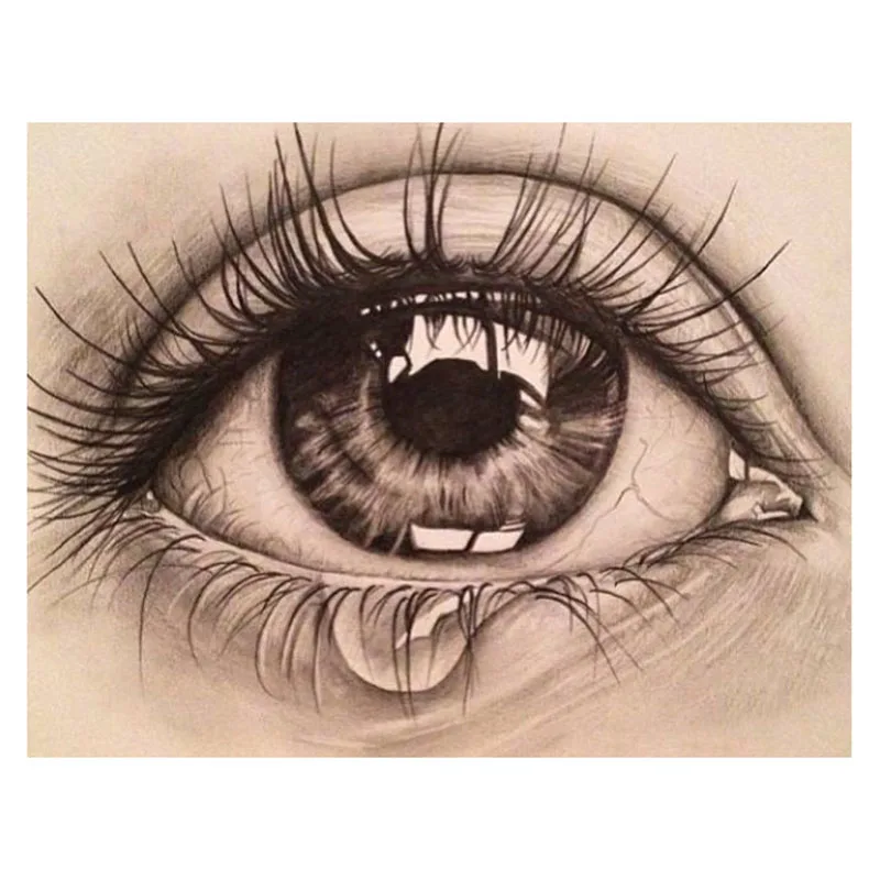 6258f556161707266fdf056d5c29e522