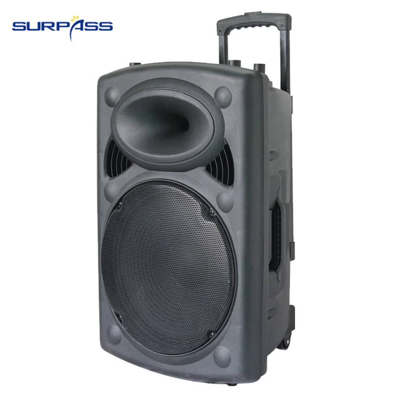 12 inch trolley speaker