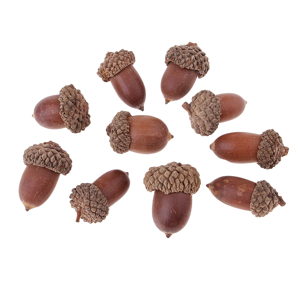 20Pcs Natural Mini Acorns Dried Flowers Christmas Accents Home Table Decoration Ornaments Rustic Crafts