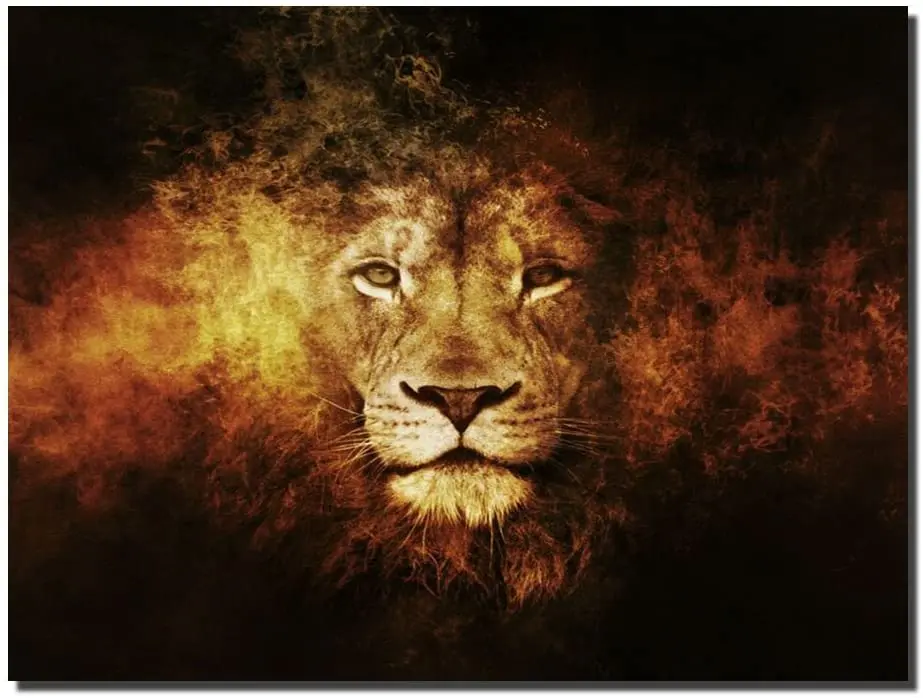 61qkAqXnnIL._AC_SL1001_