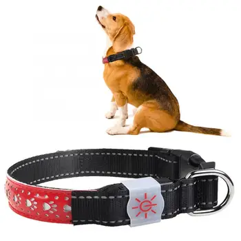 

Dog Leash and Harnesses LED Pet Glowing Adjustable Safety Rechargeable Collar USB Charging for Cat Small Dog Dog Leash Collar