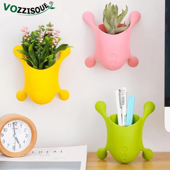 

Hanging Wall Planter Pot Home Design Maceta Colgante Succulent Flower Pot Plastic Planter Wall Mounted Flower Pots for Orchids