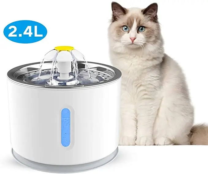 51cL6WnhlwL._AC_SX679_