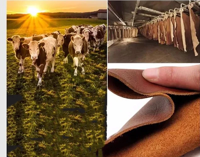 QQ截图20190819173522