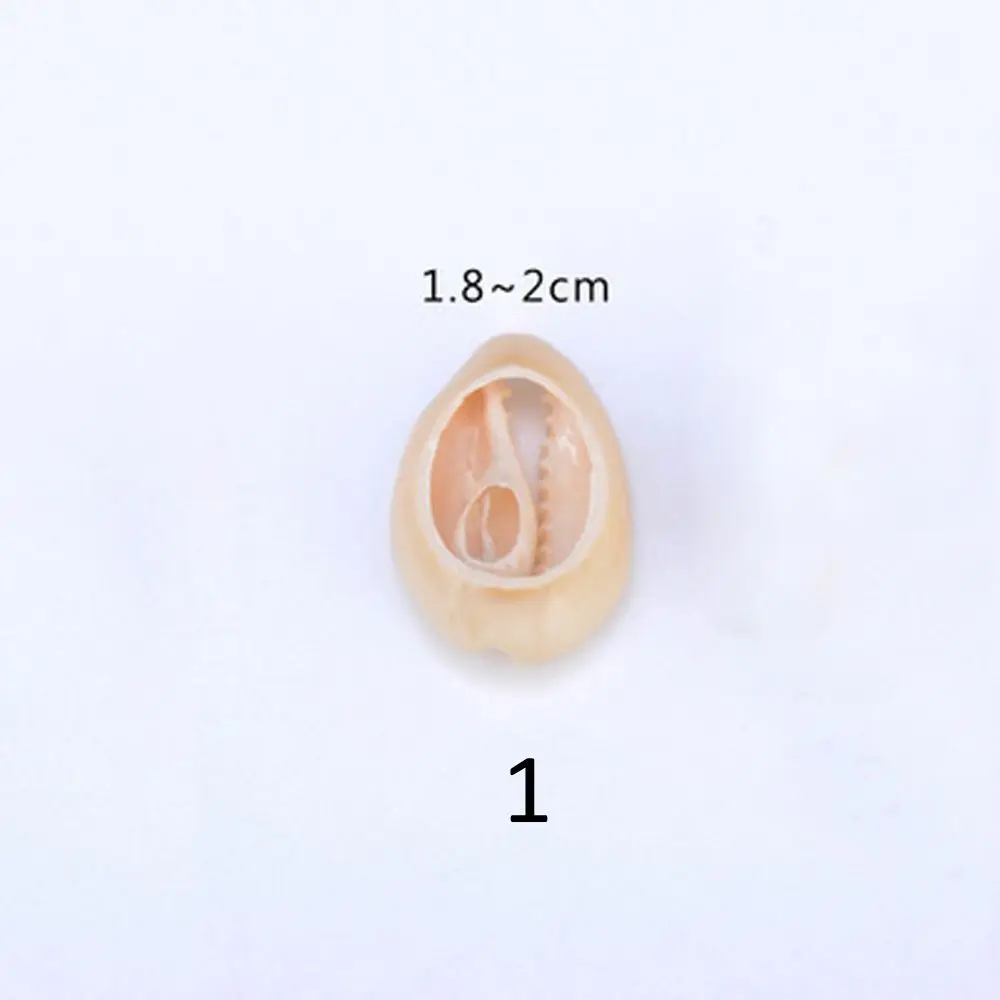 5Y1537499242_BCDA1B80-21