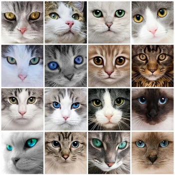 

Evershine Diamond Embroidery Cat 5D DIY Diamond Painting Animal Cross Stitch Kit Rhinestone Pictures Mosaic Sale Home Decoration