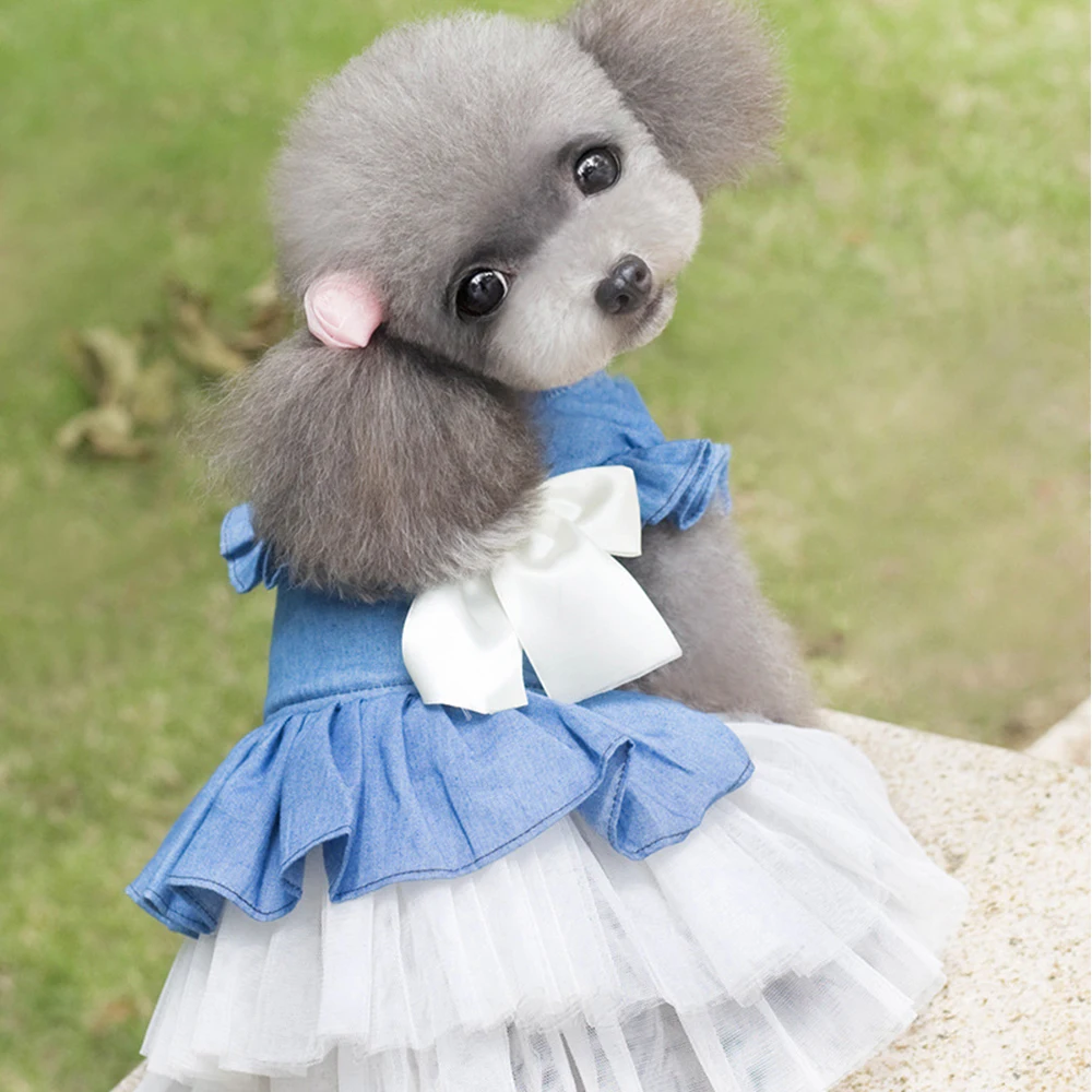 

Pet Dog Denim Skirt Kitten Apparel Accessories Spring Summer Shorts Chihuahua Teddy Autumn Winter Clothes Puppy Princess Dress