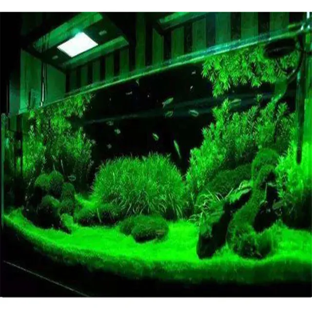 1.50  Muddy water ceramsite sand water grass planting soil water grass mud  fish tank Landscaping Decoration bottom sand aquarium grass tank bottom sand