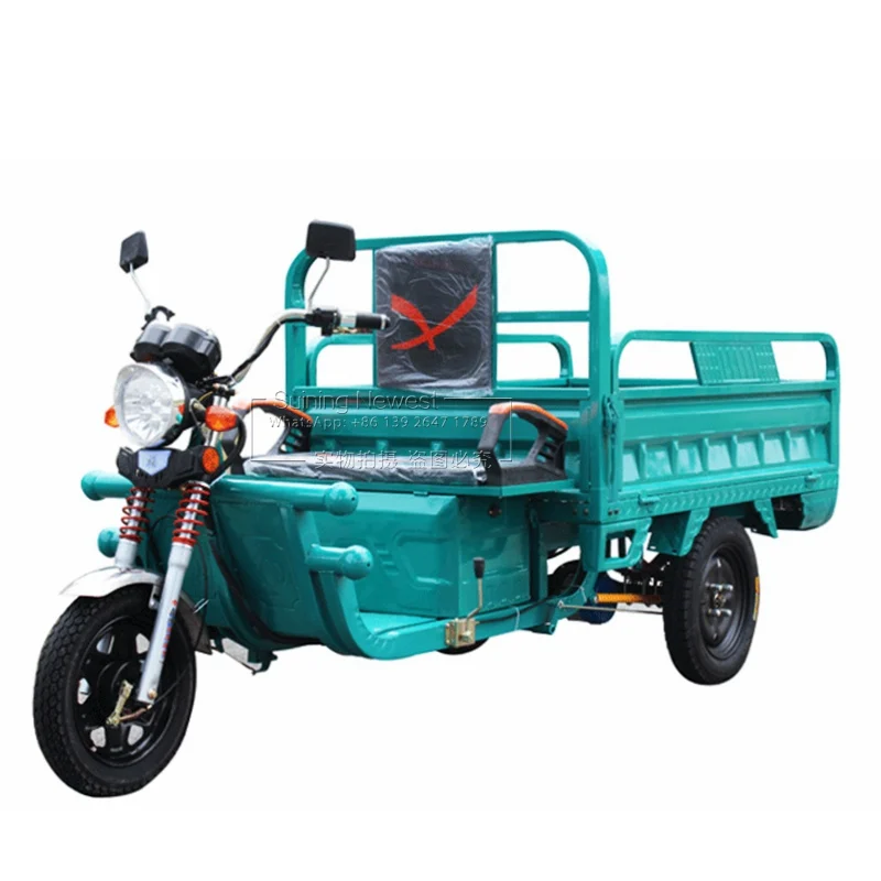 Африка 3 колеса Ebike E скутер дешевый велосипед пассажирский мотор Грузовик