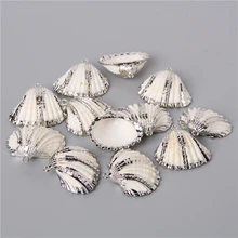  19 Styles Natural Shell Charms Tiny Conch Cowrie Sea Shells Pendant for DIY Jewelry Making Necklace Bracelet Earrings 2-10pcs 