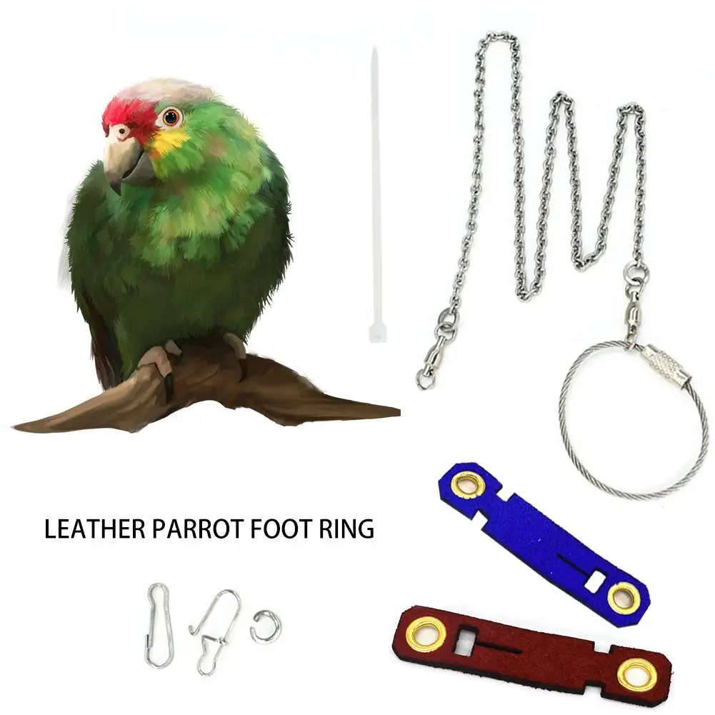 

Bird Foot Ring Bird With Leather Feet Chain Parrot Foot Live Buckle Pigeon Velvet Foot Cover Leather Parrot Foot Ring New
