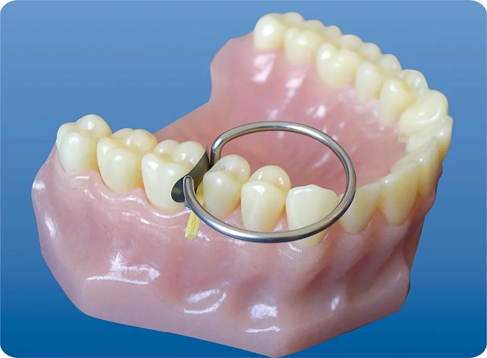 713ev7vkDfL._SL1500_