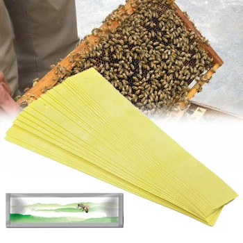 

20pcs/Bag Varroa Strips Fluvalinate Bee Mite Killer Treatment Tool Beekeeping Pest Control For Drop Shipping