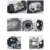5-8KW 12V Car Heater Air Diesels Heater Parking Heater With Remote Control LCD Monitor for RV, Motorhome Trailer, Trucks, Boats