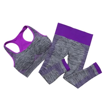 

2pcs Women Sport Sets Fitness Stretch Seamless Bra Set Gym Workout Elastic Breathable Sports Underwear