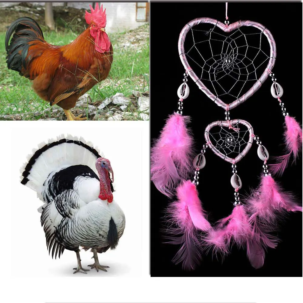 H83c4ba6af0b949a893649336b70a3519T.jpg?width=1000&height=1000&hash=2000