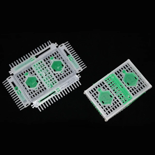 Bee Berendezések Queen Cage Nagykereskedelmi Méhészet Apis Mellifera Ligustica Spinola Új Mee Cagets Eszköz - Image 6