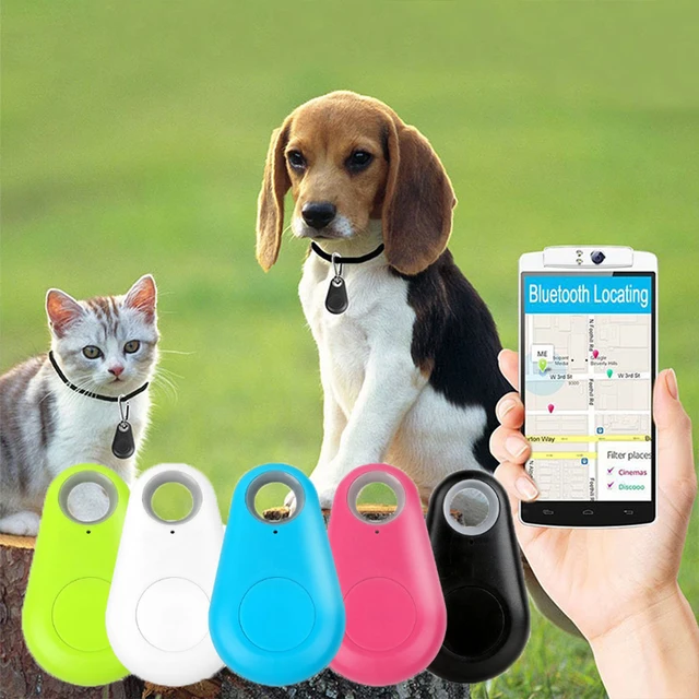 Rastreador GPS inteligente para perros y niños, rastreador de llaves  impermeable, localizador GPS portátil para mascotas, rastreador GPS para