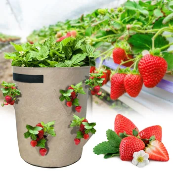

Strawberry planting container bag DIY planter PE cloth planting vegetable gardening thickening vegetable pot planting bag garden