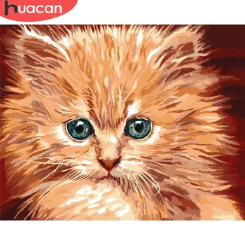 

HUACAN DIY Painting By Number Cat Drawing On Canvas Gift Pictures By Numbers Animal Kits Hand Painted Paintings Art Home Decor