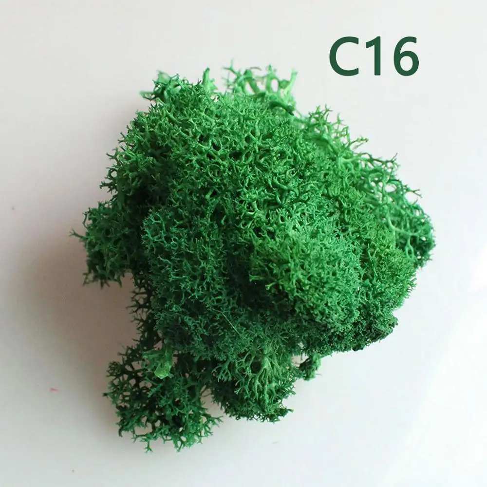 Искусственное растение вечная жизнь мох сад дом Свадьба Рождество мох растения украшения DIY цветок микро Ландшафтные аксессуары - Цвет: C16