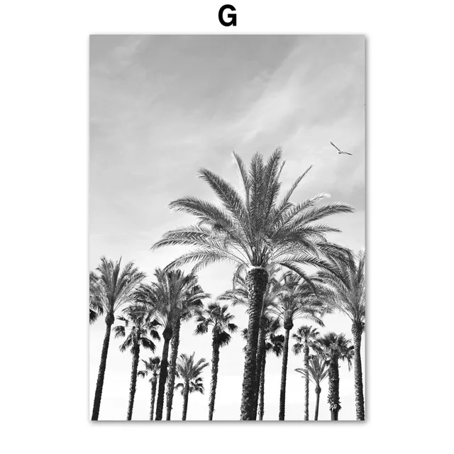 Black White Surf Beach Chair Camera Palm Tree Car Van Wall Art Print Canvas Painting Nordic Poster Decor Picture For Living Room G