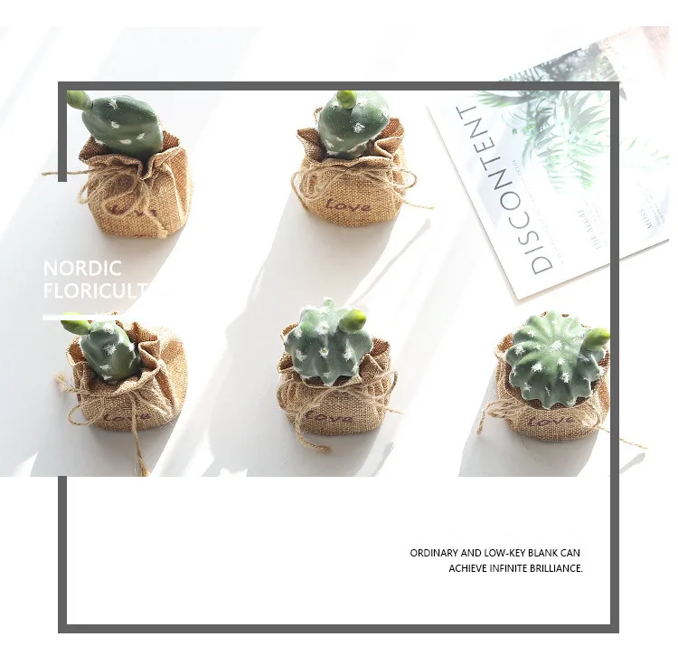 Nordic Wind Simulation Plant Cactus Potted Ornaments Prickly Pear Bonsai Furnishings Home Decorations Succulent Potted QW151 (2)