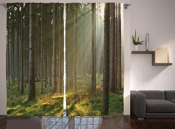 

Forest Curtains Sunbeams Comes into Natural Misty Spruce Forest from The Right Top Picture Print Living Room Bedroom Window Drap