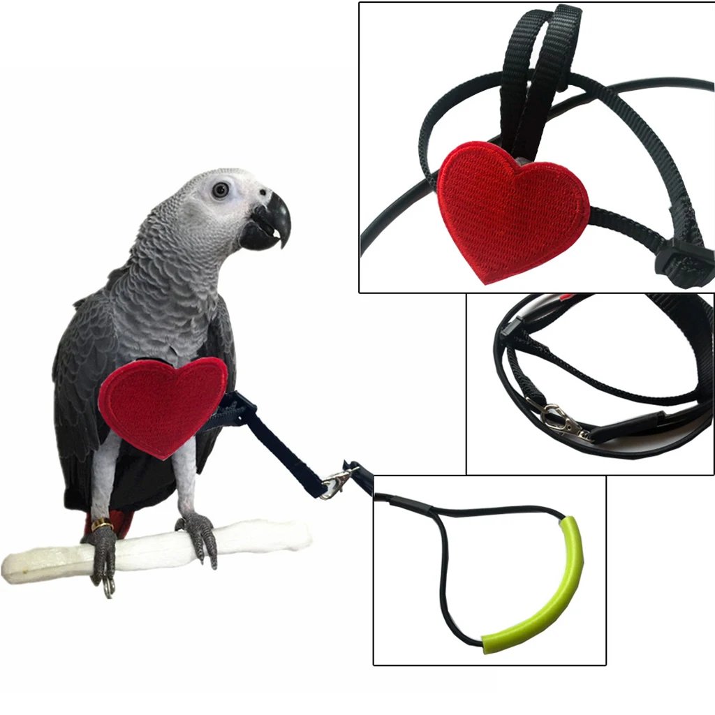 Bird Parrot Harness Leash Pet Rope For Birds Outdoor Training Leash Parrot Bird Leash Bird Harness Leash