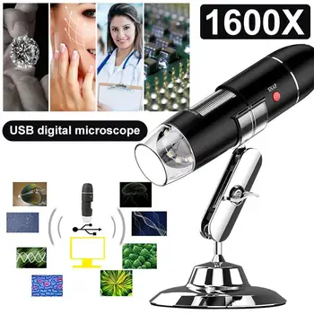 

Black Endoscope Real-Time Video Mobile Phones Portable Hand Held Endoscope Digital Microscope Ear Cleaning Tool Practical