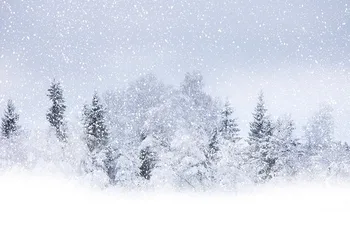 

Vinyl winter snow trees Backdrop For Photo Theme Children Newborn Photography Backgrounds