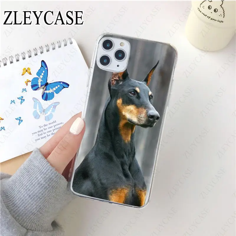 black Dachshund Doberman Dog face