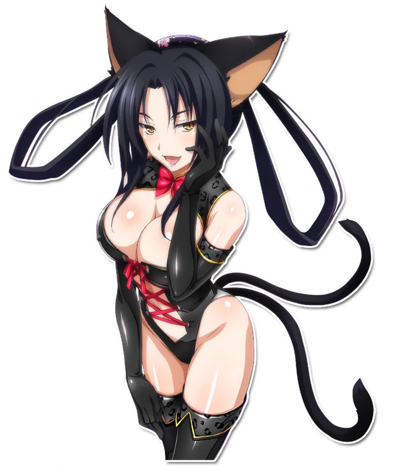 

Kuroka High School DxD Die-Cut Vinyl Decal Sticker JDM Anime Manga Sexy Cat Love