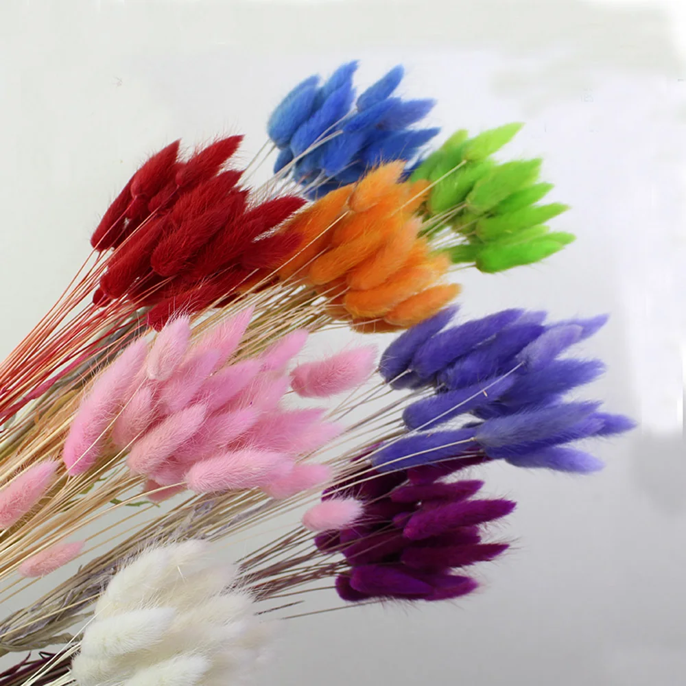 TB2cWTUXRTxQeBjSspkXXXtMpXa_!!1030439103