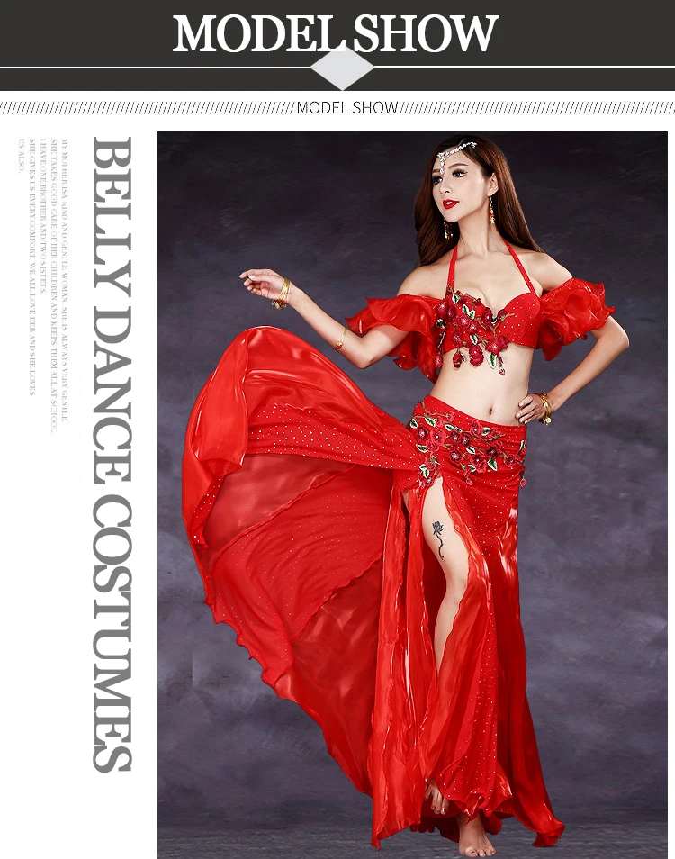 2/3pcs Set New Adult Women Belly Dance Costumes Oriental Belly Dance Skirt Stage Performance Bra Belt Skirt Belly Dance Clothing