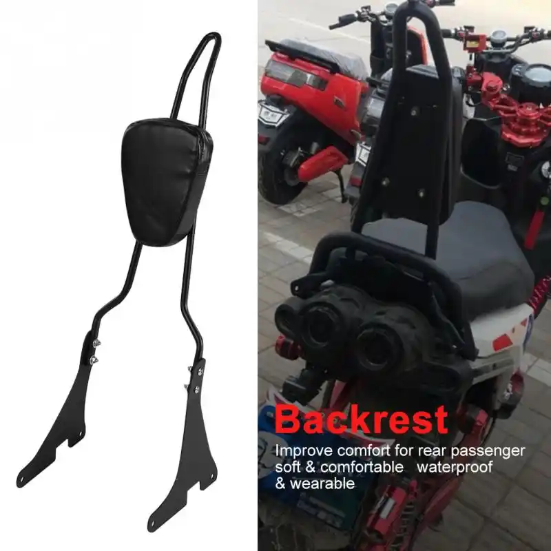 harley davidson luggage for sissy bar